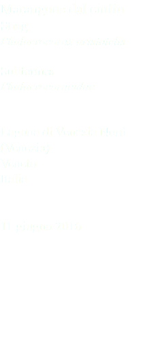 Marangone dal ciuffo Shag Phalacrocorax aristotelis Suliformes Phalacrocoracidae Laguna di Venezia Nord (Venezia) Veneto Italia 11 giugno 2016