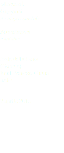 Marzaiola Garganei Anas querquedula Anseriformes Anatidae Isola della Cona (Gorizia) Friuli Venezia Giulia Italia 2 aprile 2016