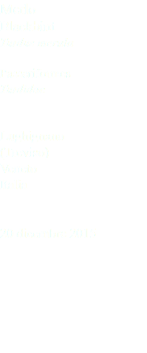 Merlo Blackbird Turdus merula Passeriformes Turdidae Lughignano (Treviso) Veneto Italia 20 dicembre 2015