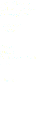 Oca collorosso Red-breasted goose Branta ruficollis Anseriformes Anatidae Fagagna (Udine) Friuli Venezia Giulia Italia 2 luglio 2016