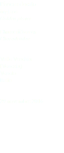 Piviere dorato inglese Golden plover Charadriiformes Charadriidae Valle Vecchia (Venezia) Veneto Italia 29 novembre 2016