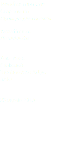 Rondine montana Crag martin Ptyonoprogne rupestris Passeriformes Hirundinidae Antermoia (Bolzano) Trentino Alto Adige Italia 23 agosto 2015